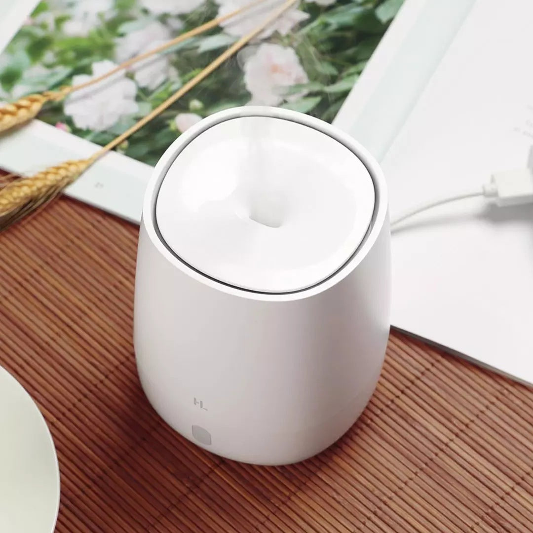 Mini Air Fragrance Diffuser Indoor