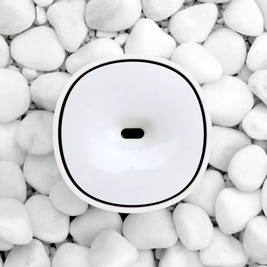 Mini Air Fragrance Diffuser Indoor
