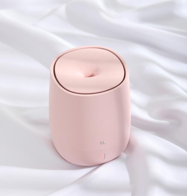 Mini Air Fragrance Diffuser Indoor